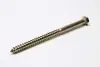 Stainless Lag Bolt