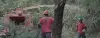 oakes tree service employees in the field