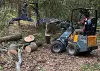 Emergency tree service placeholder image.