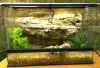 36" x 24" Exo-Terra