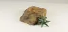 Rock Bowl - 002