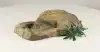 Rock Bowl - 004