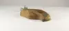 Rock Bowl - 005