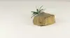 DECOROCK-047