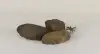 Stonecluster - 005