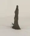 Cypress Knee - 004