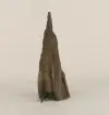 Cypress Knee - 008
