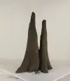 Cypress Knee - 010