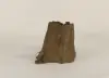 Cypress Stump - 001