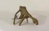 Mangrove Root - 002