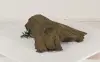 Floating Log-004