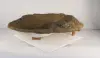 Medium Rock Pond-012 (Spillway)