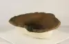 Small Rock Pond-012