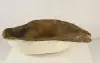 Small Rock Pond-013 (spillway)