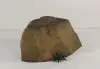 ROCK-010