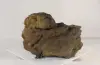 ROCK-018