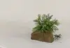 Pot Rock - 006