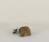 Pot Rock - 007
