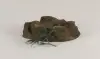 Pump Cover - Small