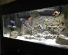 48" x 24" Kiama with base