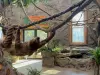 XL Vine