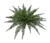 23 Inch Outdoor Boston Fern