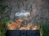 Cavern Rock Wall Panel 12' x 6'