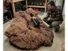 Mammoth S (4.5' x 3.5')