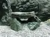 Cave Rock