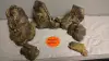 Rock Combo - 004