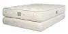 Dream Spring Limited Mattress by Royal-Pedic