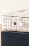 Marquess Superb Mattress by ViSpring