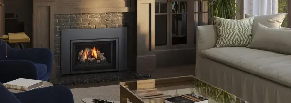 Regency GI25LE Gas Insert