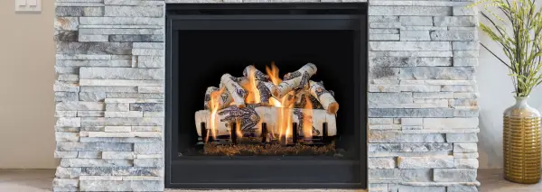 Regency GL24V Vented Gas Logs