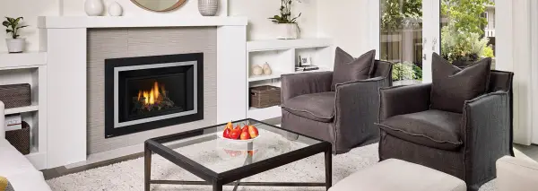 Regency HRI4E Gas Insert