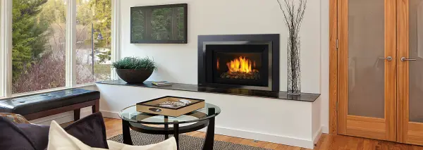 Regency HRI6E Gas Insert