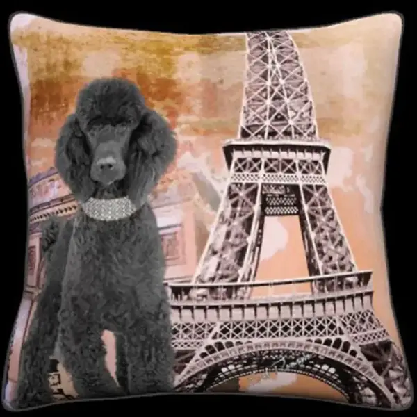 Black Poodle - Paris