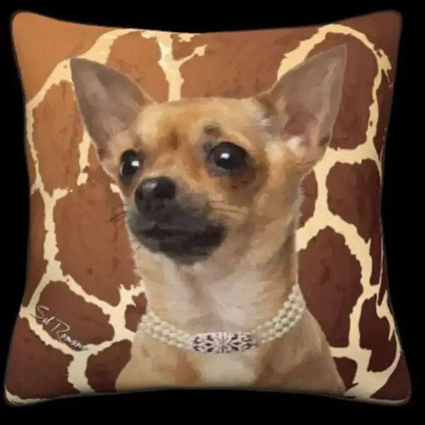 Chihuahua