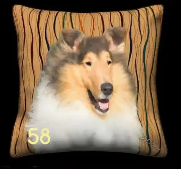 Collie