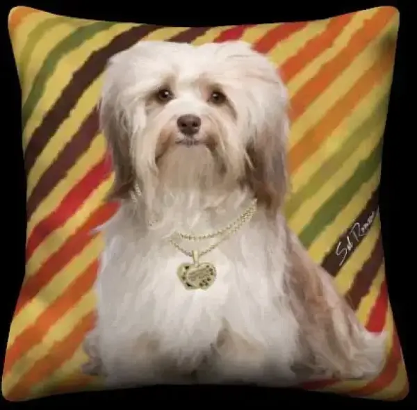 Havanese