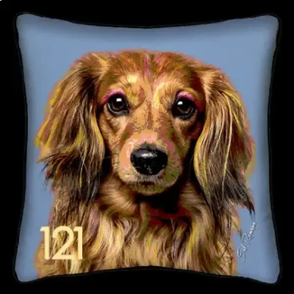 Dachshund - Blue