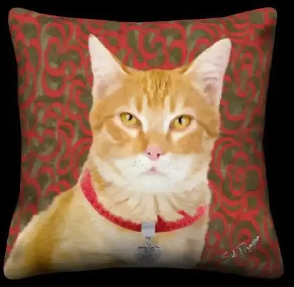 Orange Tabby