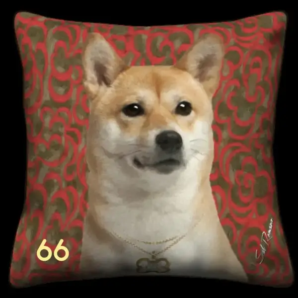 Shiba Inu