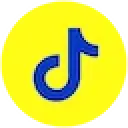 tiktok icon