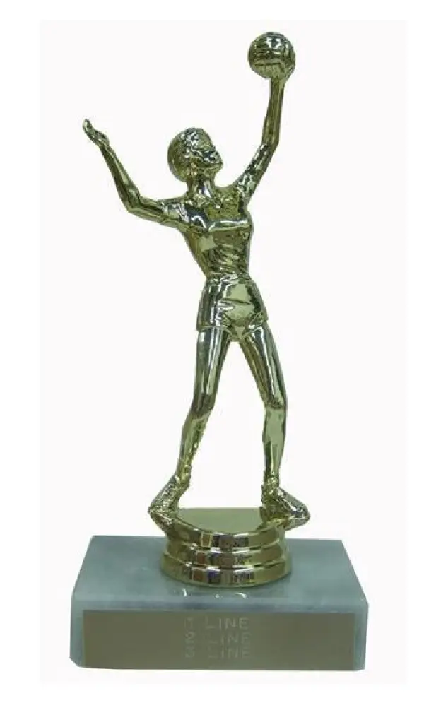 Volleyball Trophy