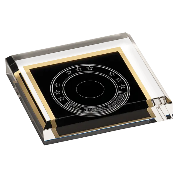 Acrylic Black Marble Paperweight