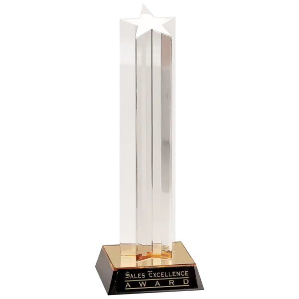 Acrylic Mirrored Star Award