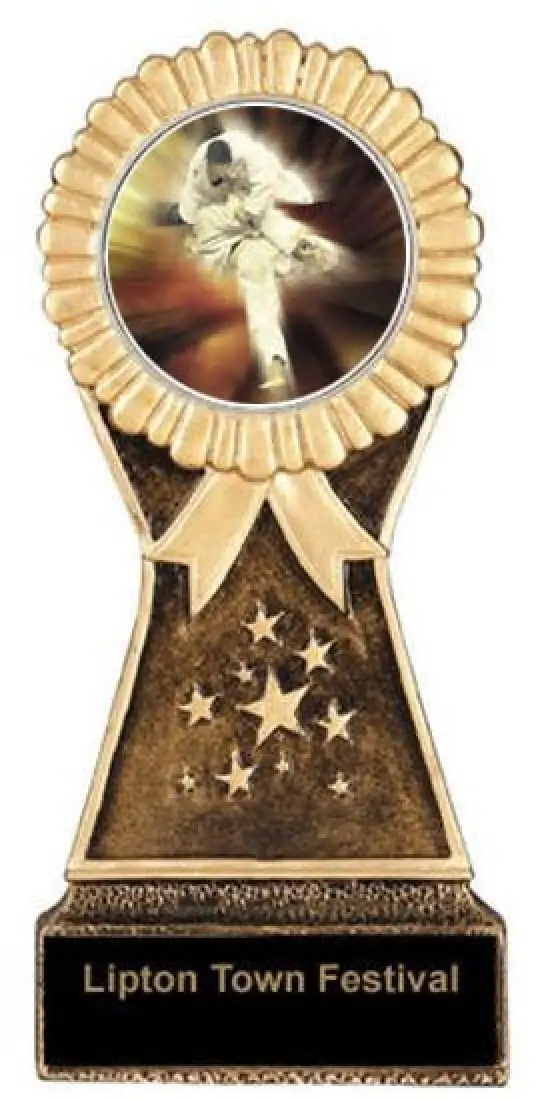 Karate Resin Stand Trophy