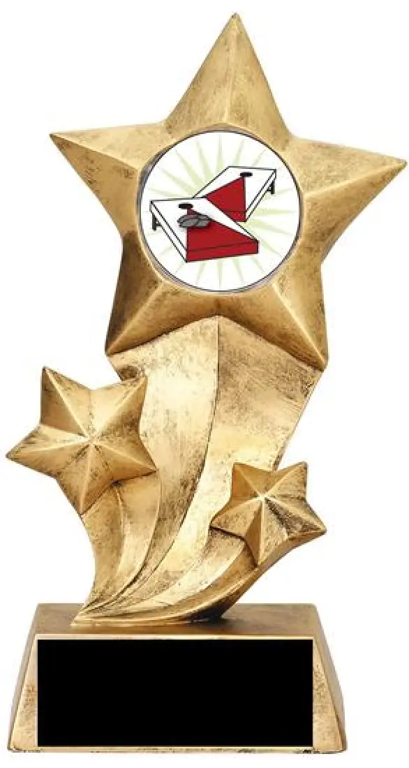 Resin Stars Cornhole Trophy