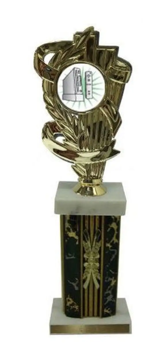 Wii Large Column Trophies